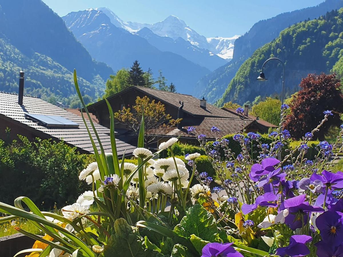 Chalet-Gafri - Bnb - Fruehstueckspension Und Gastfreundschaft Вильдерсвиль Экстерьер фото