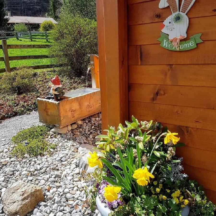 Chalet-Gafri - Bnb - Fruehstueckspension Und Gastfreundschaft Вильдерсвиль Экстерьер фото