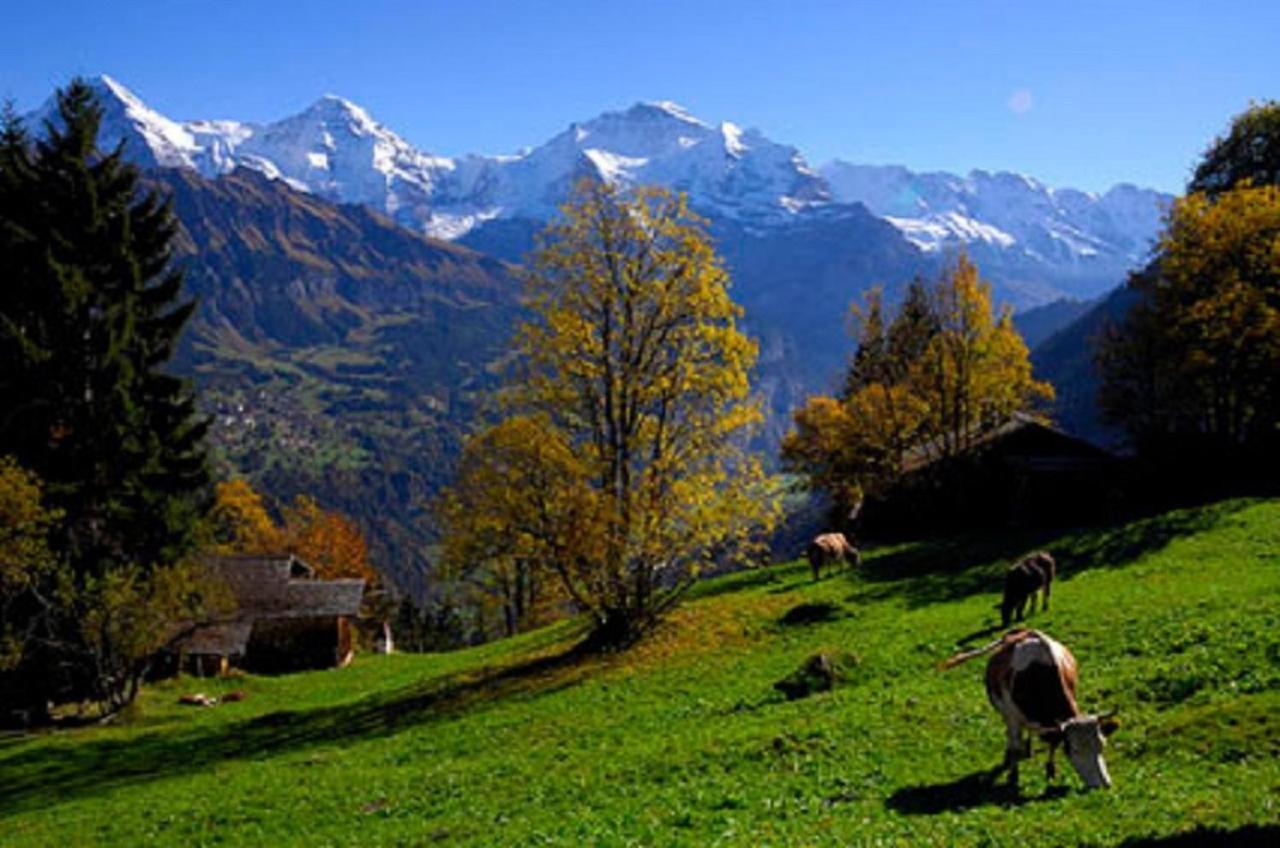 Chalet-Gafri - Bnb - Fruehstueckspension Und Gastfreundschaft Вильдерсвиль Экстерьер фото